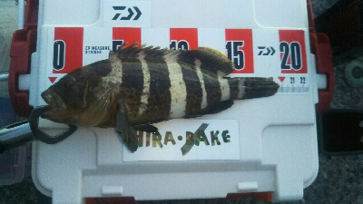 ライトロックゲーム