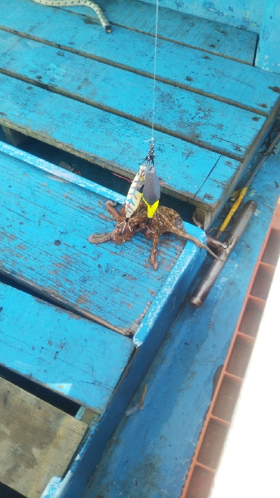 初めての船釣り