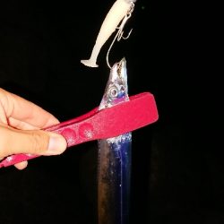 オールナイト釣行