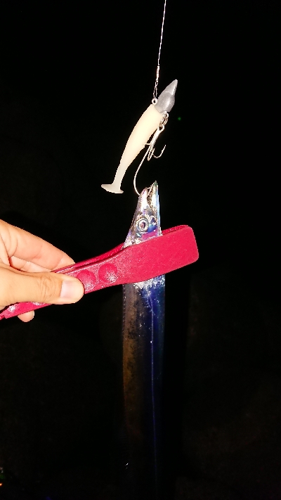 オールナイト釣行