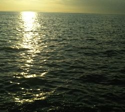 タチウオ貧果ながらリベンジ！