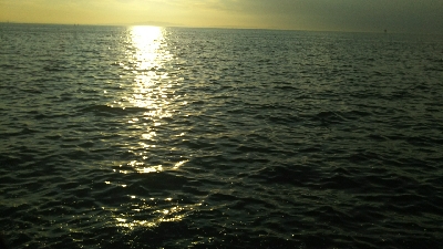 タチウオ貧果ながらリベンジ！