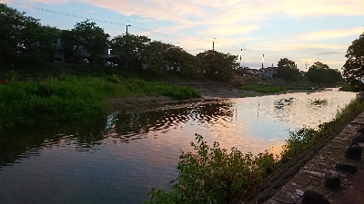 久々にハス(ケタバス)釣り