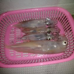 ラストスパート