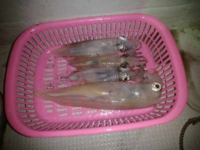 ラストスパート