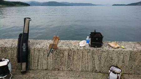 キビレをメインに五目釣り