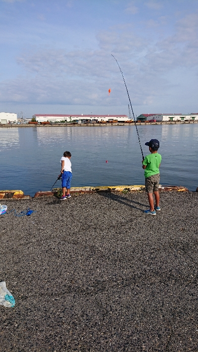 貝塚港でサビキ