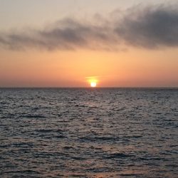 今年初太刀魚。