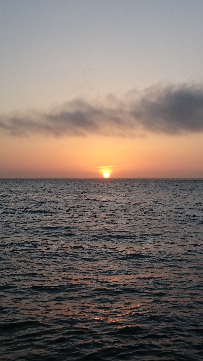 今年初太刀魚。