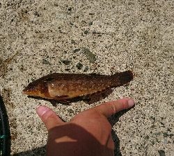 海水浴客の中で