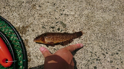 海水浴客の中で