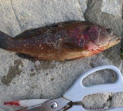 暑さにもまけず