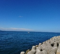 暑さにもまけず