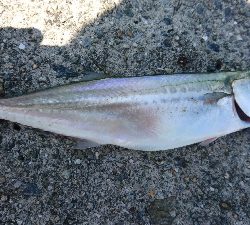 暑さにも負けず