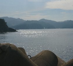 ロックフィッシュゲーム