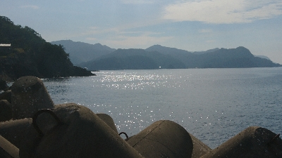 ロックフィッシュゲーム