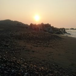 仁淀川河口サーフショアジギング