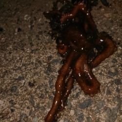 調子悪くなって来た(´；ω；｀)