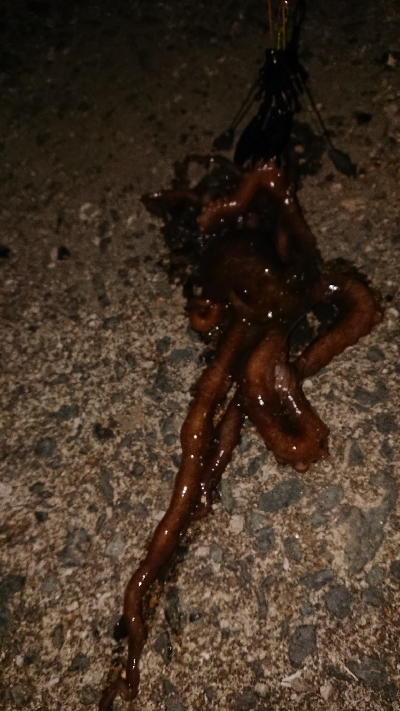 調子悪くなって来た(´；ω；｀)