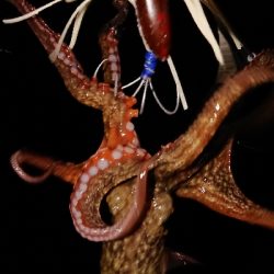 また、行ってきました〜