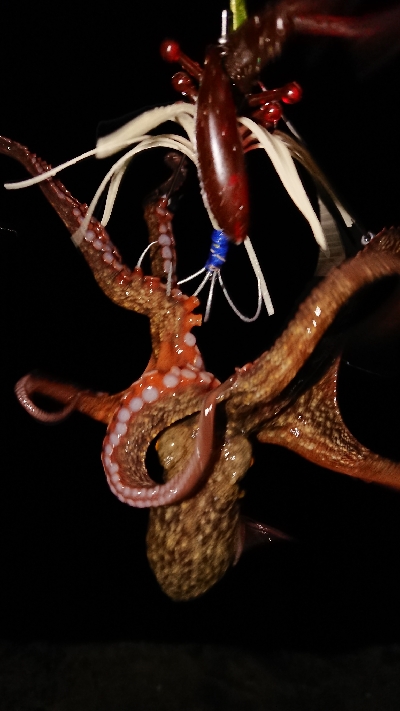 また、行ってきました〜