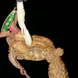 仕事終わってのストレス解消！