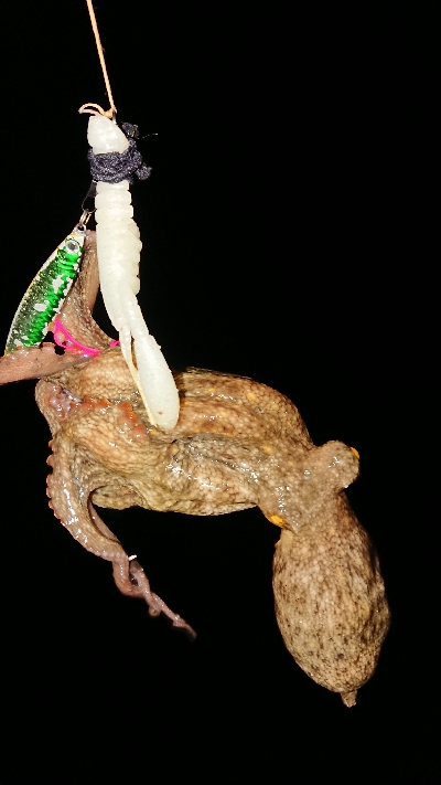 仕事終わってのストレス解消！