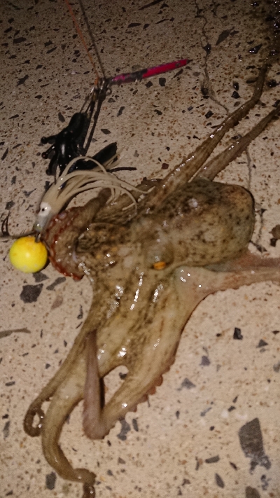 仲間と遠征も…