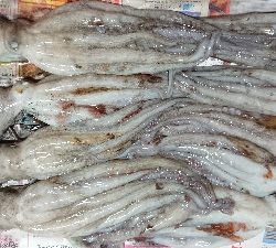 美味しい明石ダコ！