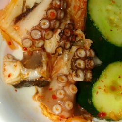 タコエギで、ようやく良いサイズゲット！