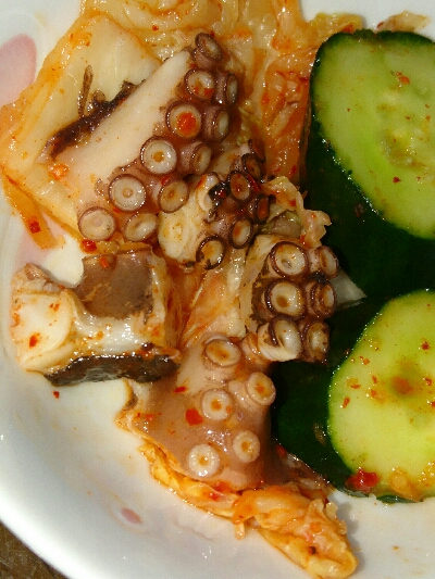 タコエギで、ようやく良いサイズゲット！