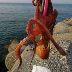 蒸し暑い朝でした～