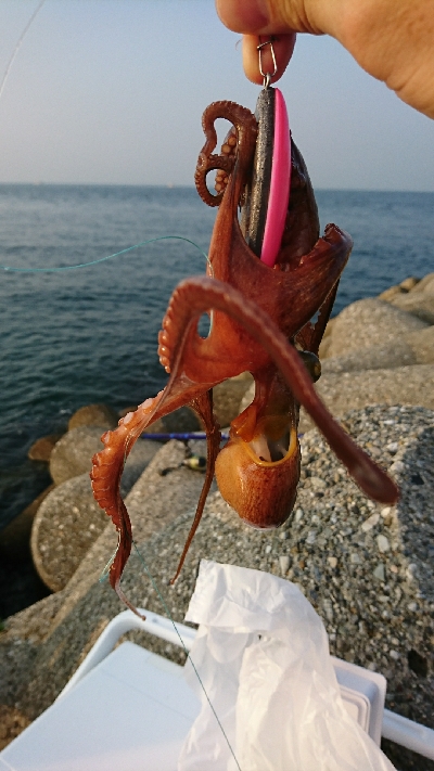 蒸し暑い朝でした～