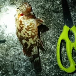 色んな釣りをして…