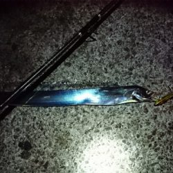 現場から中継です!