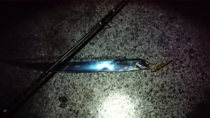 現場から中継です！