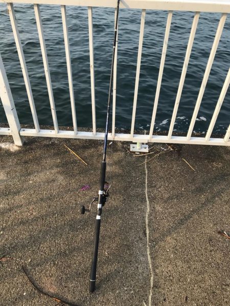 ペンペンシイラ