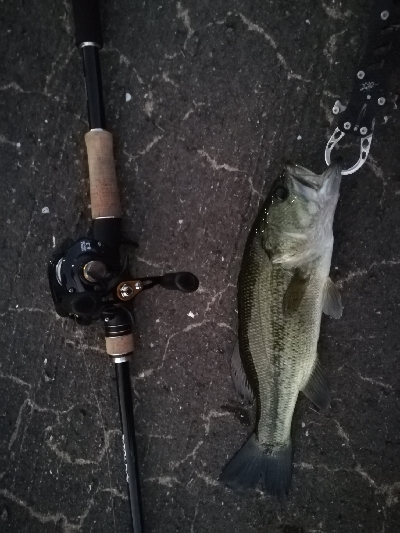 暗くなってきてから