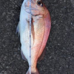 赤・青・黒三冠達成！！めでタイ！