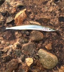 キスあきません。