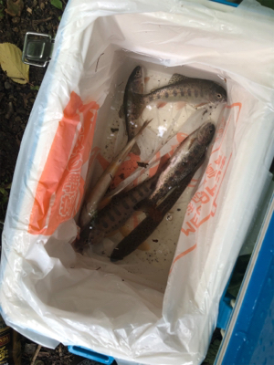 苫小牧某所にて