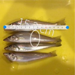 キスいました！