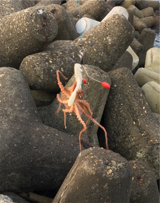 デイオクトパッシング