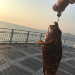 地合いの前の坊主逃れ