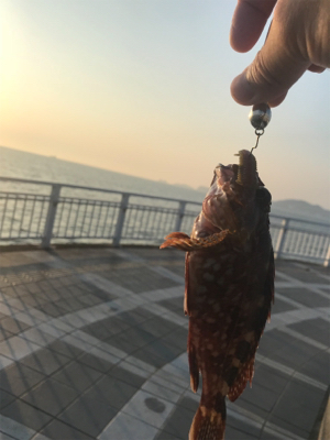 地合いの前の坊主逃れ