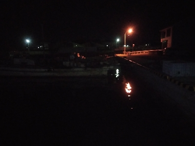 釣堀前日のサビキ釣り