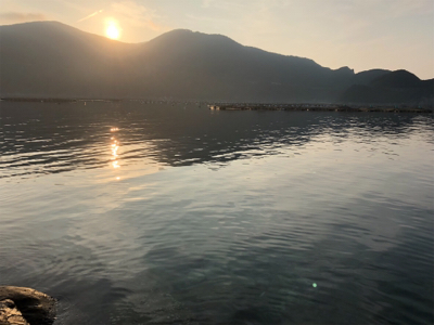 高知釣行 2日目 柏島