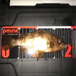 坊主逃れの癒し