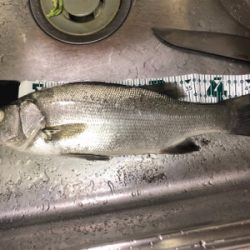 高知遠征 2日目 Part2 夕方