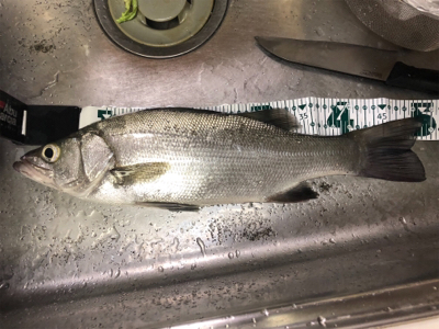 高知遠征 2日目 Part2 夕方